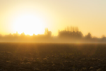 sunrise in the morning