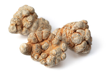 Dried herb, notoginseng roots isolated on white background