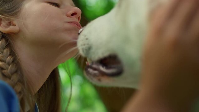 Portrait of chewing girl caressing dog closeup. Pet lick cute face on picnic.