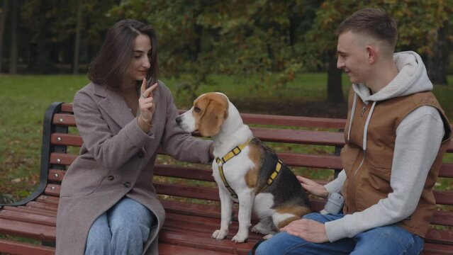 Happy couple sitting on bench with their cute beagle
