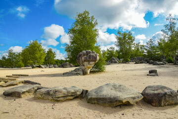 view of the sands of the ass of the dog in the city of Noisy sur école © AUFORT Jérome
