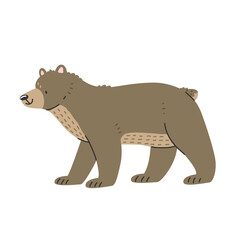Cute brown bear in cartoon style is standing. Vector isolated illustration with an animal.