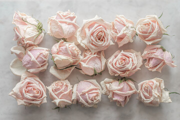 Fototapeta na wymiar Dried pale pink roses on a marble background. Soft focus.