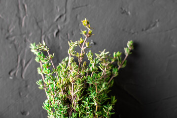 Thyme branches on a black background. Culinary seasoning, medical use.