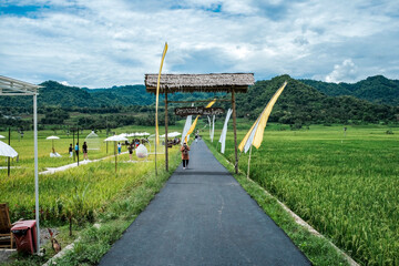 road in the countryside