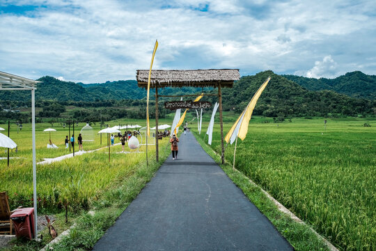 road in the countryside