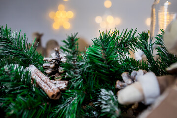 Christmas and New Year photo studio, green tree, cones tree, garlands, white wall (2). Idea for holiday like Christmas and New year, for covers books, magazines, articles.
