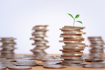Stacking of money and plants growing on coins for financial and business background. Savings and Accounts, Finance Banking Business Concept Ideas, Investments, Funds, Bonds, Dividends and Interest.