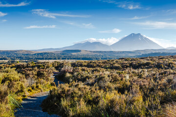 Fototapeta premium New Zealand, North Island. Tongariro National Park, Mt Ngauruhoe (active volcano)