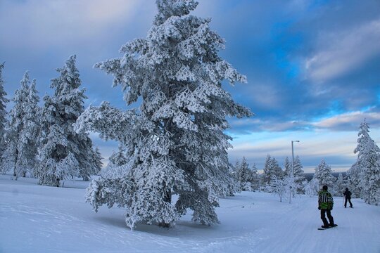 Skiing in the solitude of finnish Lapland