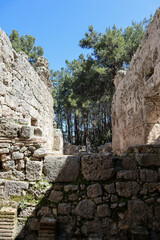 Fototapeta na wymiar ruins of ancient buildings in lycian city Phaselis in Turkey