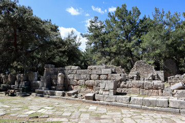 scenic ruins of the ancient city Phaselis in Turkey among pine forest spring view