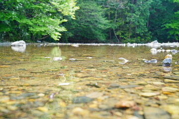 山の中の小川