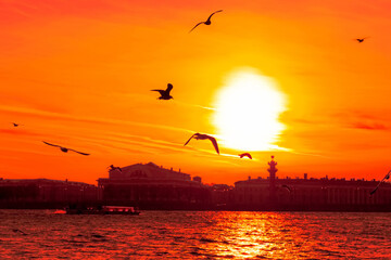 Saint-Petersburg in White nights time