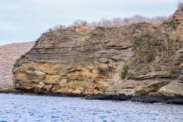 Steep cliffs reveal the volcanic geology of Caleta Tagus on isabela island in the Galapagos.