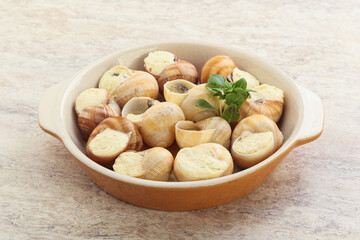 Delicous baked snail with butter - Escargot