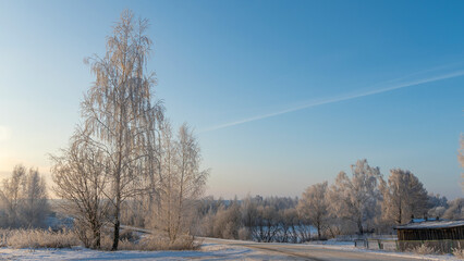 Birch trees in hoarfrost in winter daytime. Snow covered field, some bare deciduous trees, blue sky. Nature background.