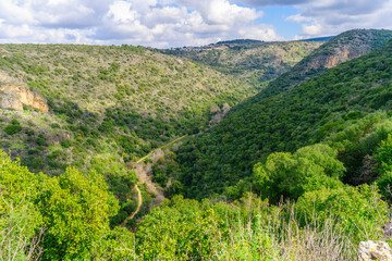 Landscape of the Kziv stream valley, Upper Galilee