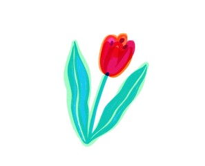 Colorful hand-drawn and stylized flower tulip on white background for sticker, print, greeting cards, website. Bright cartoon colourful kawaii floral jpg illustration for international Woman’s Day. 