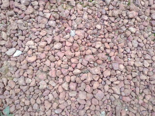 Types of food and objects that we often encounter around us
