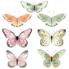 Collection of watercolor illustrated butterflies