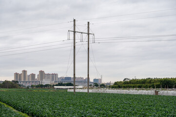 Obraz premium Cloudy days, power facilities in the fields, iron towers and telegraph poles