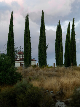 trees in front of a church in alassa in Cyprus