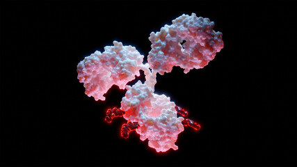 3D Rendering of a single Antibody Drug Conjugate Molecule with Cytotoxic Payload