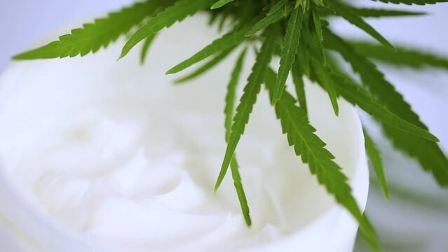 Cream medicinal cannabis hemp and leaf cannabidiol CBD harvested dried of seeds quality for production of ointments, relieves pain, antibacterial and soothing