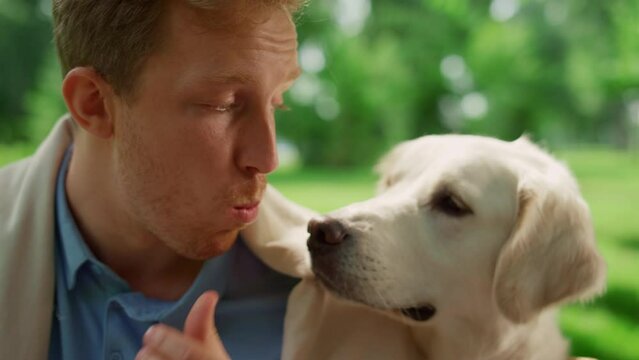 Portrait of funny dog sniffing eating man. Labrador trying taste cheese closeup.
