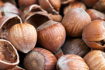 hazelnuts peeled from the shell