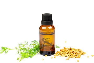 Coriander Essential Oil in bottle and coriander seeds with branch and flower isolated on white background.