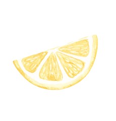 Vector watercolor illustrations of lemons. Hand painted lemons with green leaves on white background