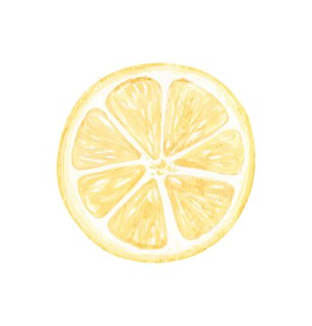 Vector watercolor illustrations of lemons. Hand painted lemons with green leaves on white background