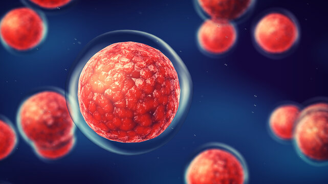 Embryonic stem cells. Repairing damaged cells by reducing inflammation and modulating the immune system. Stem cell therapy concept