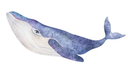 Watercolor vector cute purple whales on the white background. Sea Animal Hand draw art illustration