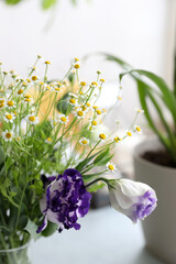 Bouquet with small daisies and blue purple eustoma in the interior