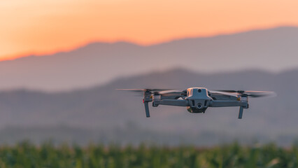Drone quadcopter in corn field green on sunset and hill background, Photography technology for agricultural purposes and capturing high-angle shots.