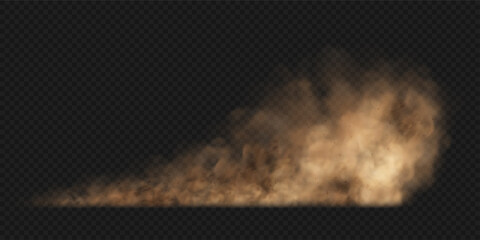 Dust sand cloud with stones and flying dusty particles isolated on transparent background. Brown dusty cloud or dry sand flying. Realistic vector illustration - obrazy, fototapety, plakaty