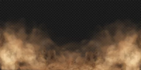 Foto auf Glas Sandstorm. Dust cloud or sand with flying small particles or stones. Vector illustration isolated on transparent background © Vector_Artist