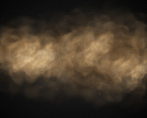 Dust sand cloud with stones and flying dusty particles isolated on transparent background. Brown dusty cloud. Realistic vector illustration