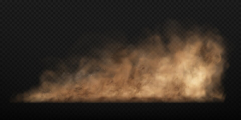 Dust sand cloud with stones and flying dusty particles isolated on transparent background. Brown dusty cloud or dry sand flying. Realistic vector illustration.