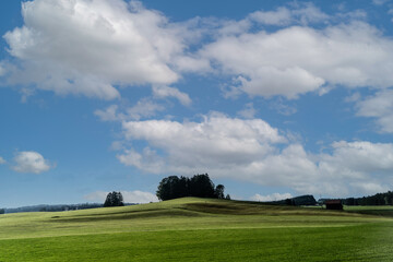 Obraz premium Weideland im Allgäu im Sommer