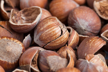 hazelnuts peeled from the shell