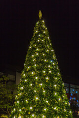 christmas tree with lights