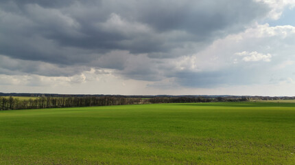 Fototapeta premium spring green fields