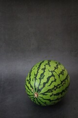 large watermelon fruit, round green watermelon, striped green watermelon peel, fruit on a gray background, fruit with a high water content