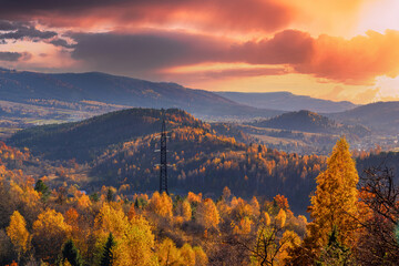 Electric pole in the autumn mountain forest