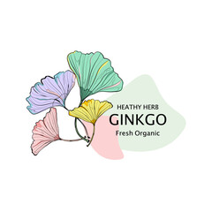Colorful Gingko leaves hand drawing.Design for banner, packing ,Plant design.cool design