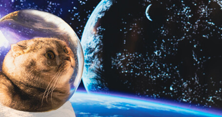 An astronaut cat in outer space against the background of the globe. The first flight into space. Banner with copy space